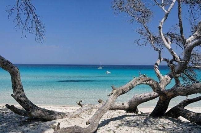 Apartment Coin Tranquille A 2km De Saint-florent